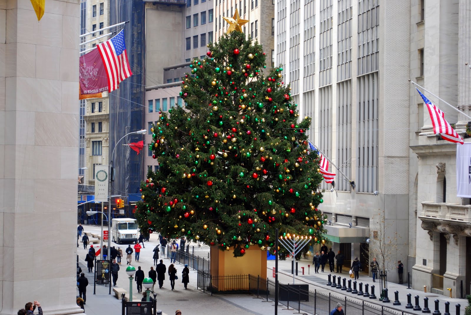 Árvores de Natal em Nova York - Nova York e Você