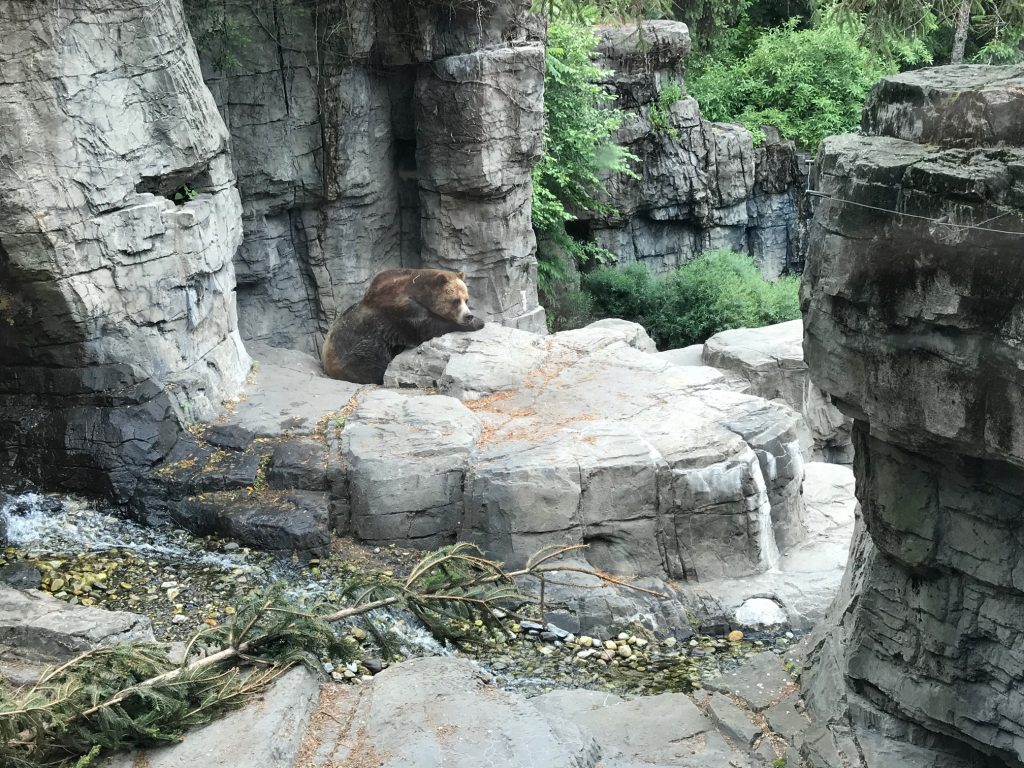zoológico no Central Park