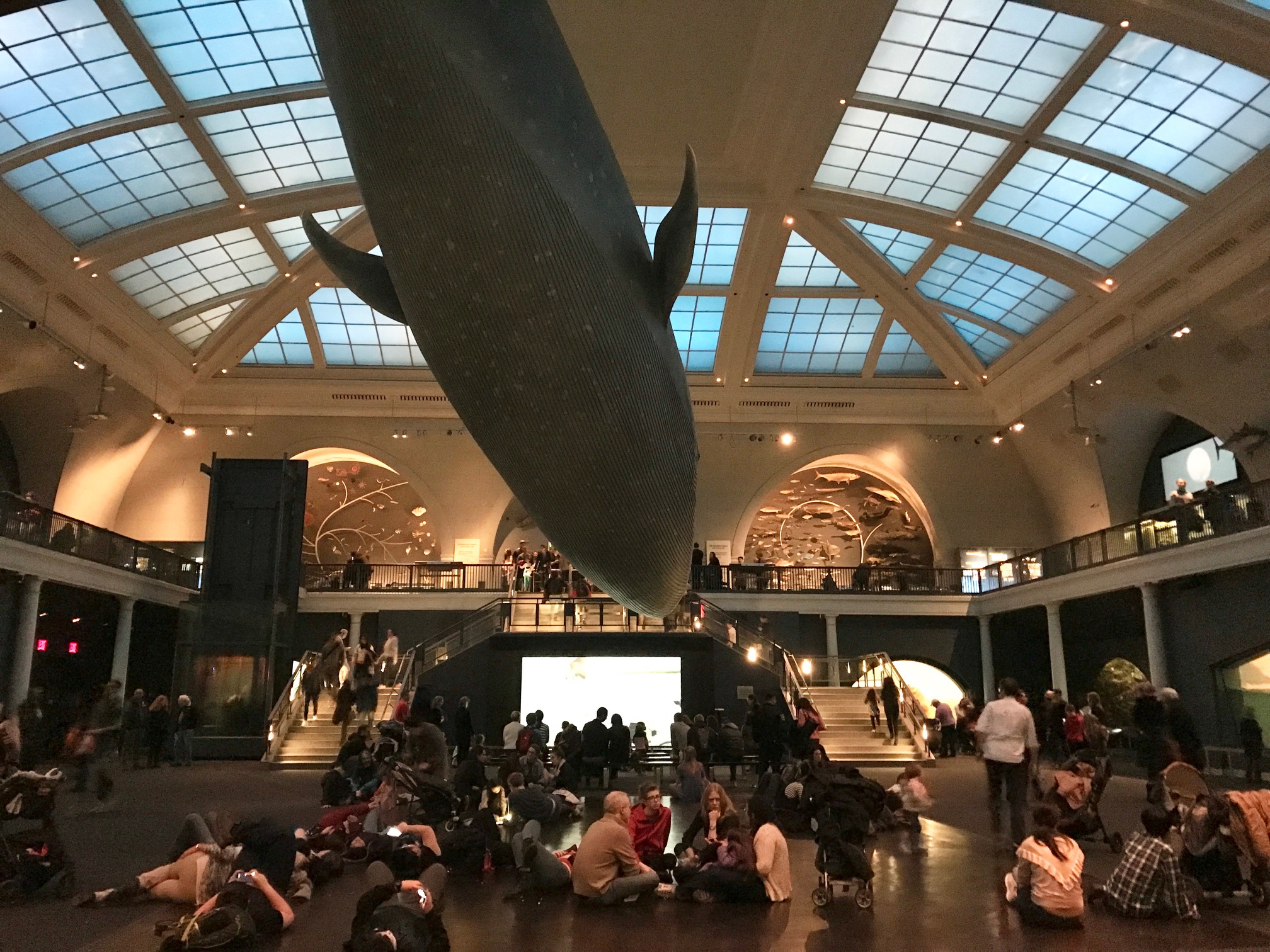 Museu de História Natural