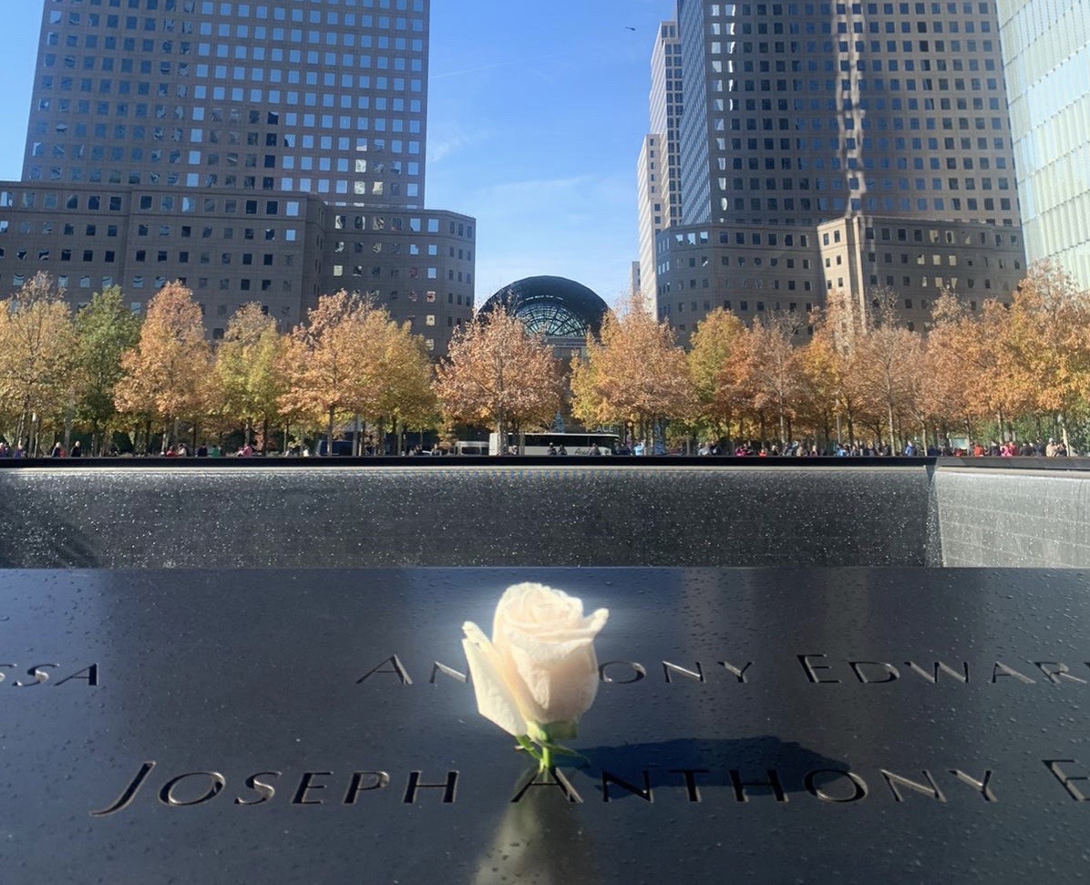 memorial 11 de setembro - rosa branca