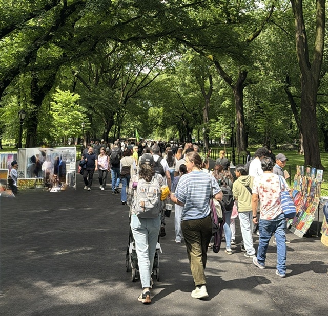 Central Park no verão